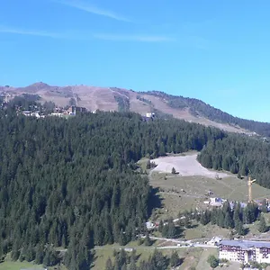 le-seizena.hotels-rhonealpes.com/